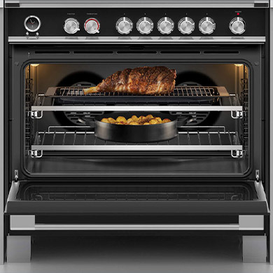 fisher and paykel website